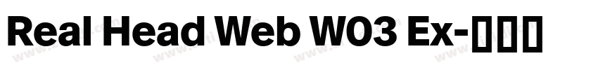 Real Head Web W03 Ex字体转换
